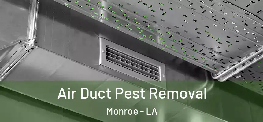  Air Duct Pest Removal Monroe - LA