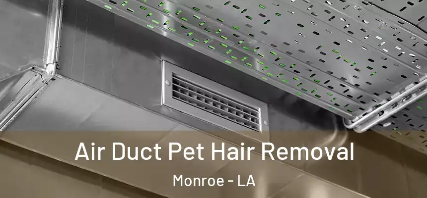  Air Duct Pet Hair Removal Monroe - LA