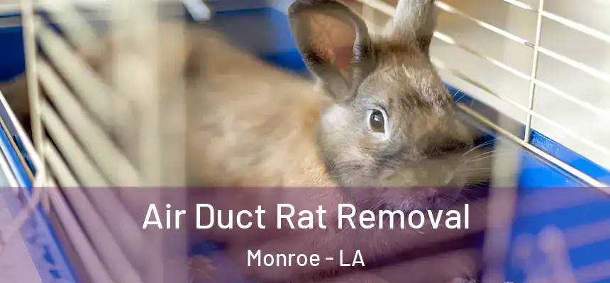  Air Duct Rat Removal Monroe - LA