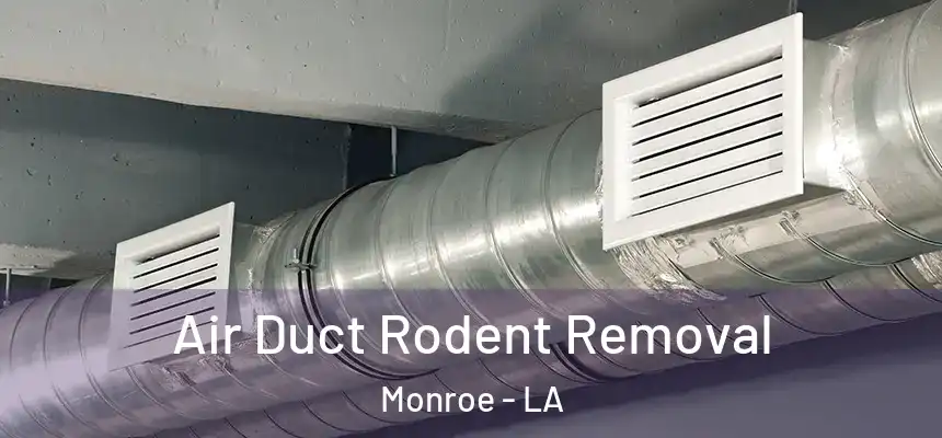  Air Duct Rodent Removal Monroe - LA