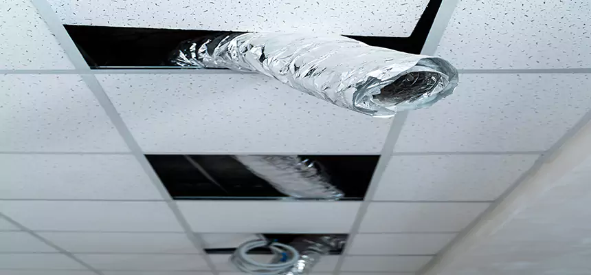 Affordable HVAC Sanitizing After Pest Removal in Monroe