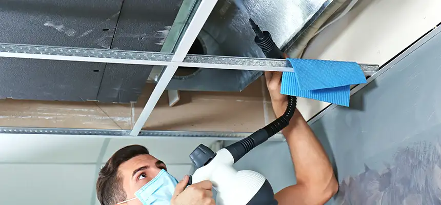 Our Air Duct Rodent Removal Services in Monroe, LA
