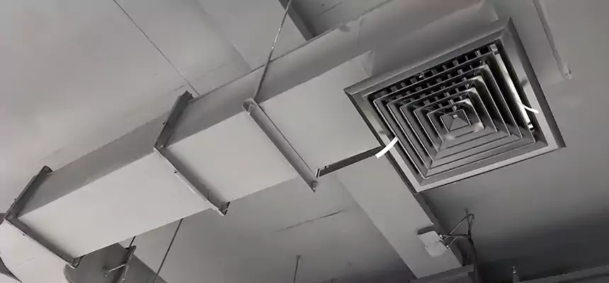 Restorative Allergy Relief Vent Cleaning – Coil, Blower & Housing Detail in Monroe