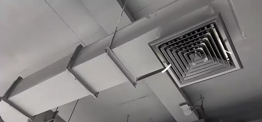 Our Pest Removal From Ducts Services in Monroe, LA