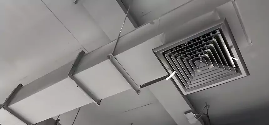 Our Rodent Droppings In Vents Services in Monroe, LA