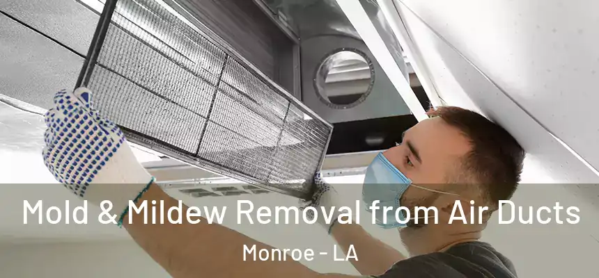  Mold & Mildew Removal from Air Ducts Monroe - LA