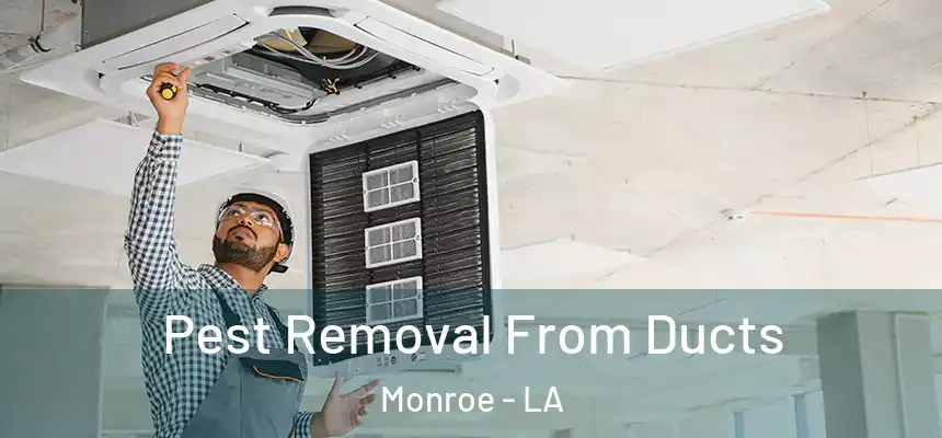  Pest Removal From Ducts Monroe - LA