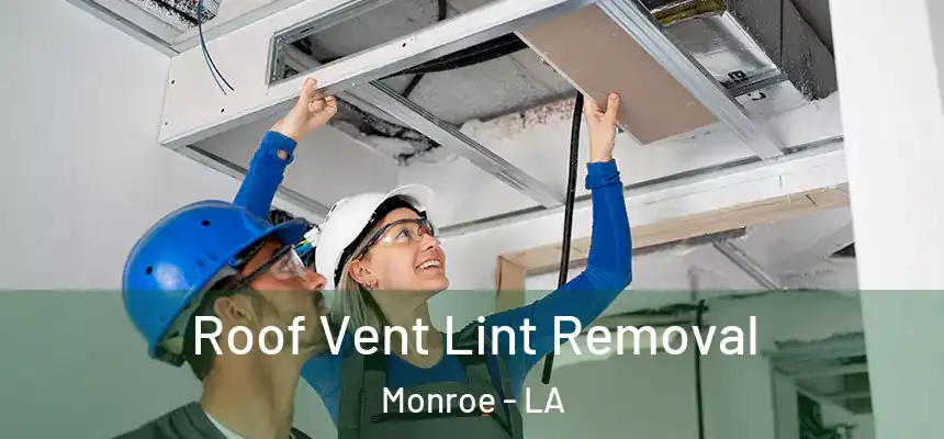  Roof Vent Lint Removal Monroe - LA