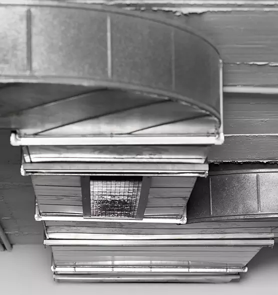 Professional Air Duct Pest Removal in Monroe, LA