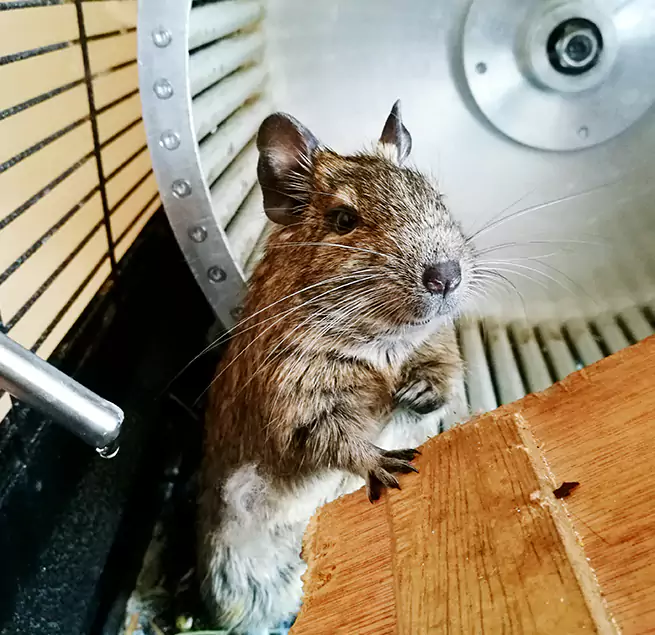 Why Homeowners & Businesses Trust Us Monroe, LA?