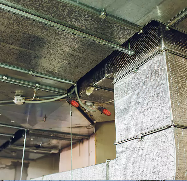 Why Homeowners & Businesses Trust Us Monroe, LA?